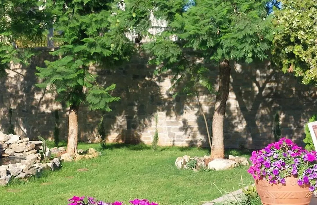 Gira E Firria-1